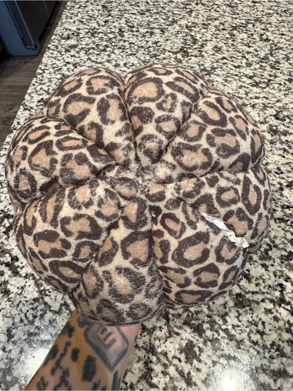 Leopard Print Pumpkin